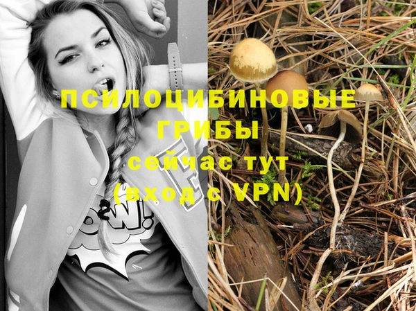 марки lsd Алексеевка